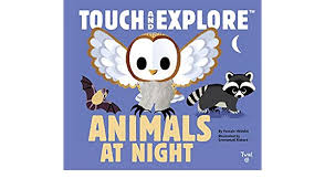Touch and Explore Animals at Night
