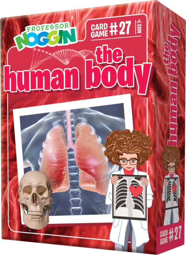 Prof. Noggin The Human Body