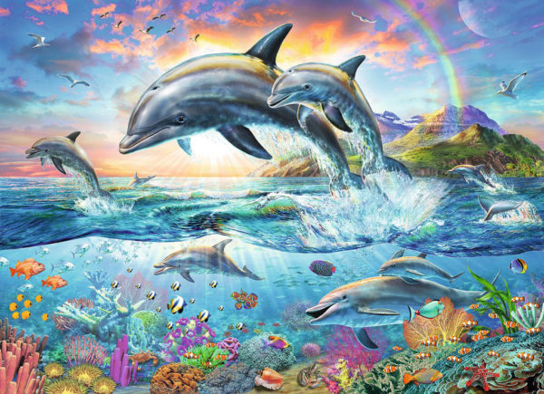 Vibrant Dolphins