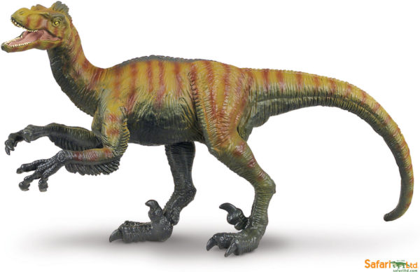 Velociraptor