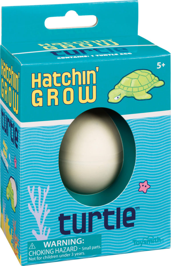 Hatchin' Grow Turtle