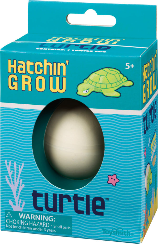 Hatchin' Grow Turtle