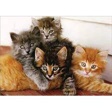 Four Kittens Snuggling