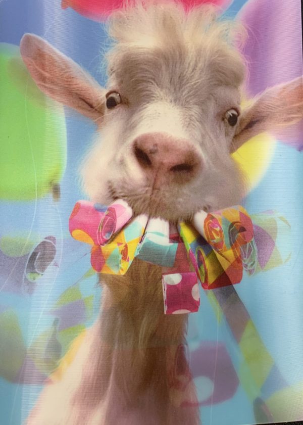 Goat With Party