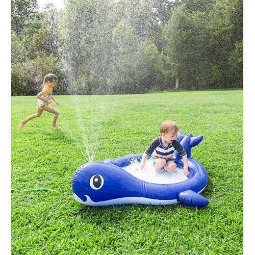 Whale Sprinkler Pool