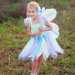 Butterfly Dress with Wings and Wand