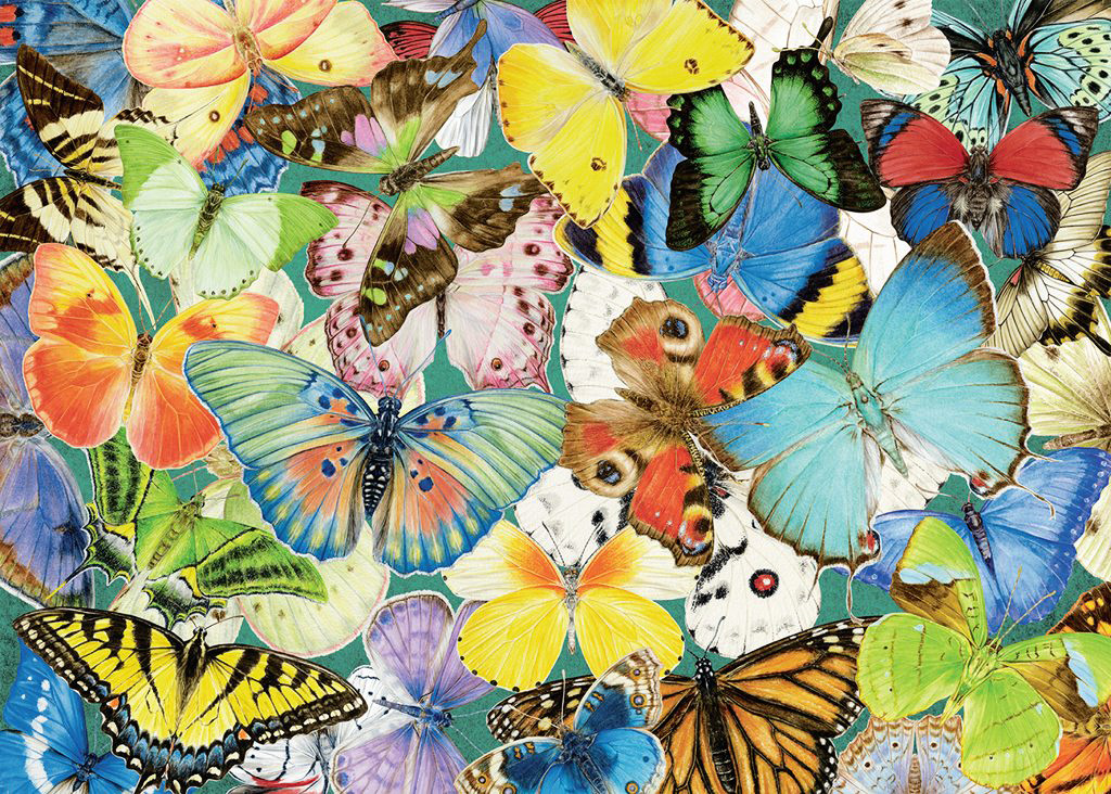 Butterflies