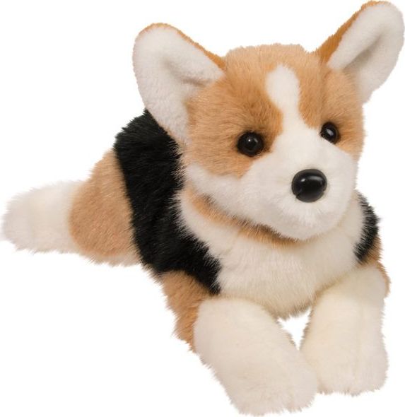 Konner Tri-Color Corgi