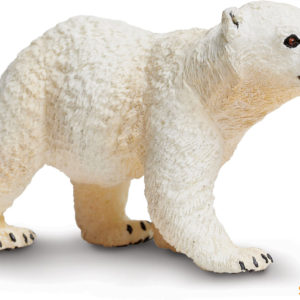Polar Bear Cub