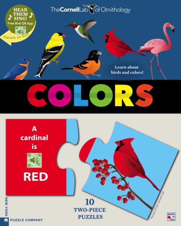 Bird Two Piece Color