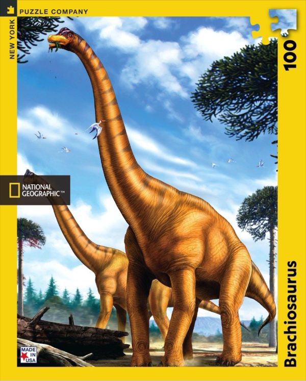 Brachiosaurus Puzzle