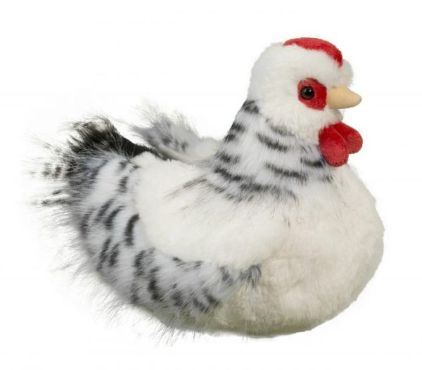 Salty Black and White Hen
