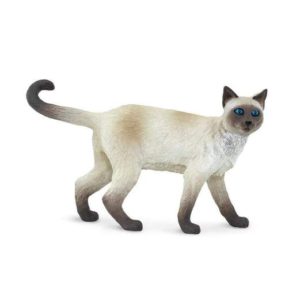 Siamese Cat