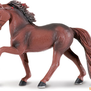 Tennessee Walking Horse