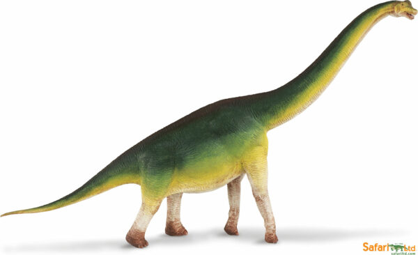 Brachiosaurus