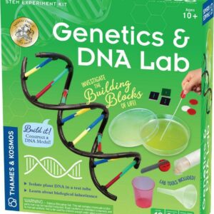 Genetics Dna Lab