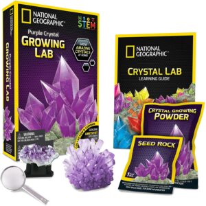 Purple Crystal Growing Lab