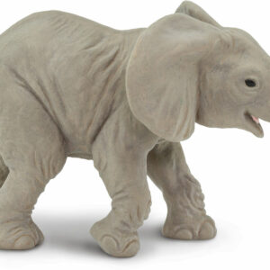 African Elephant Baby