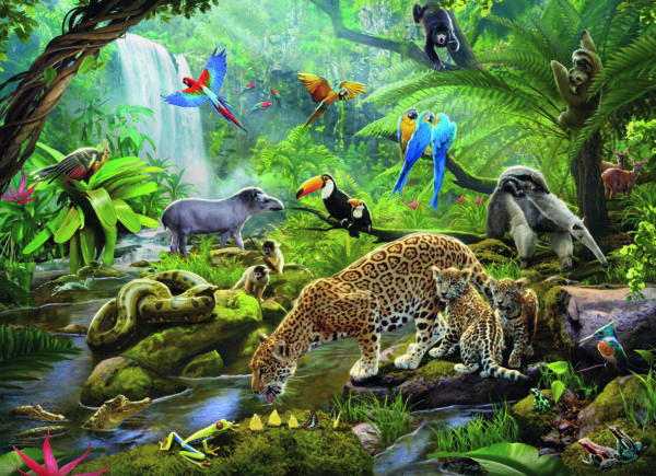 60 Pc Rainforest Animals Puzzle