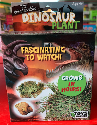 Dinosaur Plant Boxed