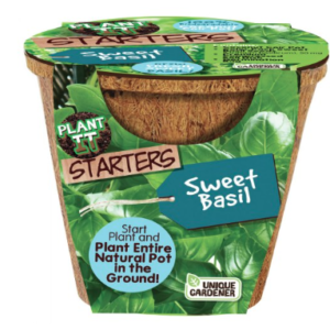 Plant-it Starters - Sweet Basil