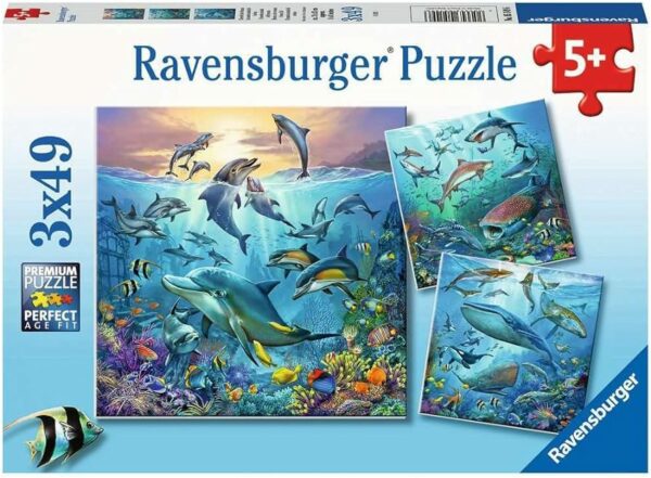 Ocean Life 3 x 49 pc Puzzle