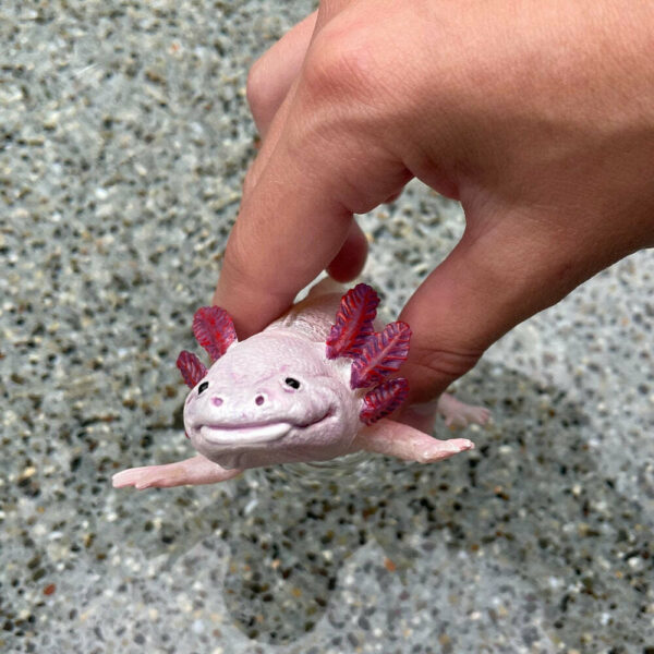 Axolotl Toy Figure