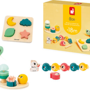 Developmental Activity Box