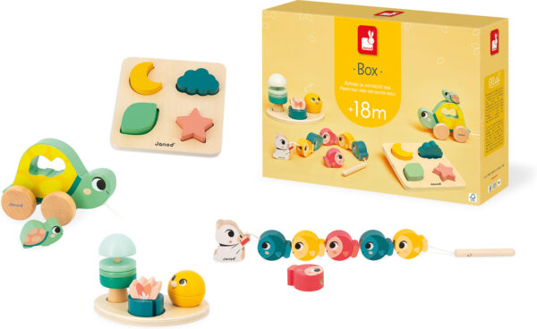 Developmental Activity Box