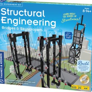 Structural Engineering: Bridges & Skyscrapers