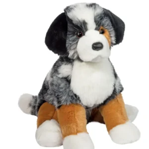 Aspen Australian Shepherd